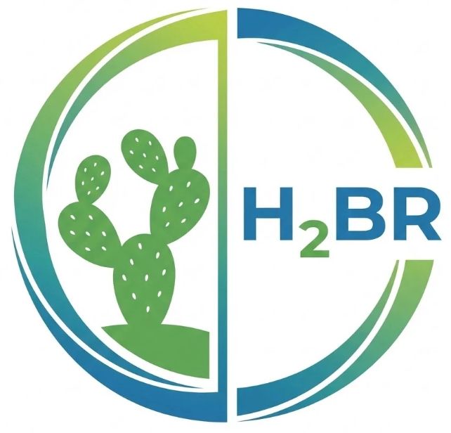 H2BR - Transformando Vidas